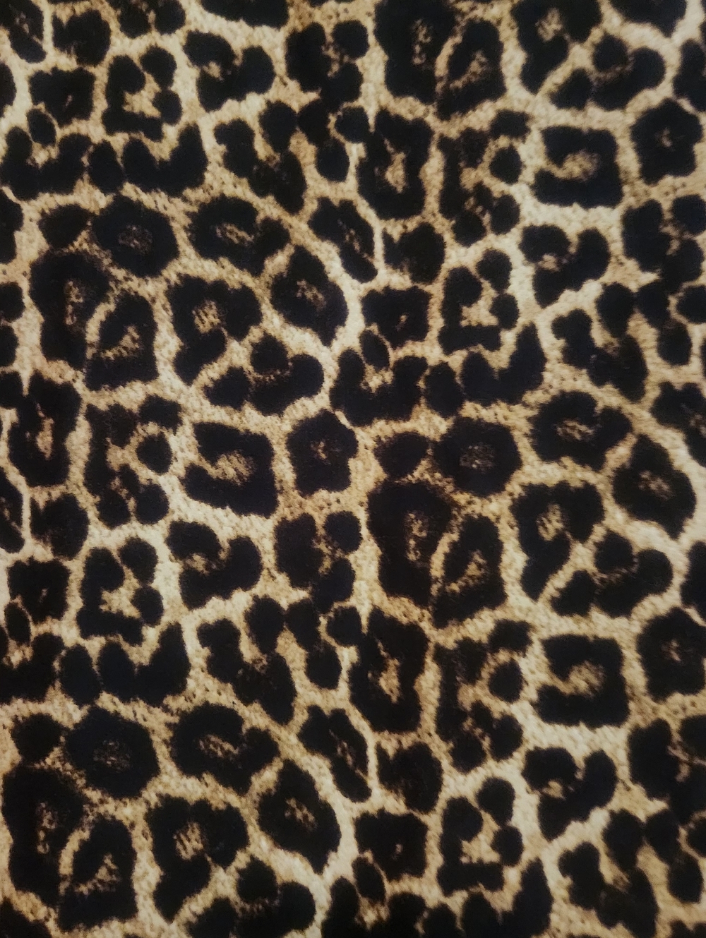 🚨BOGO🚨Chelsea & Theodore Leopard Print Short Sleeve Top - Brown & Black - Picture 4 of 5
